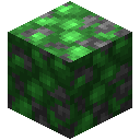 绿宝石矿石块 (Block of Emerald Ore)
