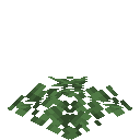 Acacia Leaf Pile