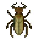 木白蚁 (Wood Termite)