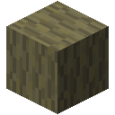 Fossilized Wood