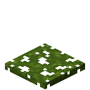 海藻地毯 (Algae Carpet)