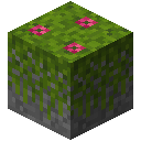 Blooming Mossy Stone