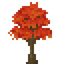 红枫树 (Red maple tree)