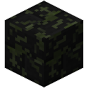 覆苔黑花岗岩砖 (Mossy Black Granite Bricks)