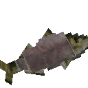 Fillet Fish
