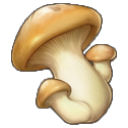 蘑菇 (mogu)