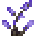 凋紫芒树枝 (Arisian Bloom Branch)