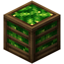 箱装黄瓜 (Cucumber Crate)