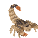 沙漠蝎 (Scorpion)