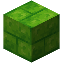 黄绿色混凝土砖 (Lime Concrete Bricks)
