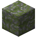 布满苔藓的裂石砖 (Mossy Cracked Stone Bricks)