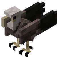 棕翎鹰 (Umbertail falcon)
