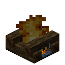Dark Oak Campfire