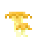 Golden Chanterelle