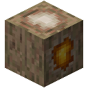 含土气琥珀的硅化原木 (Petrified Log With Earth Amber)
