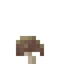 棕色上古蘑菇 (Brown Elder Mushroom)