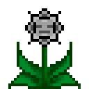 骷髅作物 (Skeleton Crop)