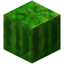 绿宝石块植物 (Block Plant Emerald)