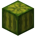 荧石块植物 (Block Plant Crystal)