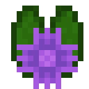 紫色睡莲花 (Purple Flowering Lily Pad)