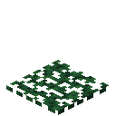 短叶杉落叶 (Brachyphyllum Leaf Carpet)
