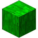 Mint Block