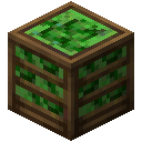箱装青梅 (green plum crate)