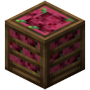 箱装杨梅 (red bayberry crate)