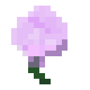 牡丹花 (Peony Flower)