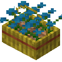 兰花花篮 (Blue Orchid Basket)