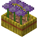 绒球葱花篮 (Allium Basket)