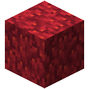 Block of Fire Coral