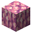 光灵红宝石块 (Block of Spectral Ruby)
