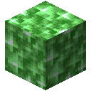 Green Crystal Block