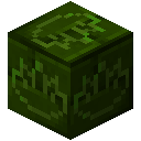 Green Stone Brick Lotus Hieroglyph