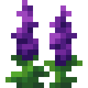 紫色羽扇豆 (Lupine Purple)