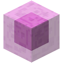 粉黏液块 (Pink Slime Block)