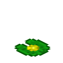 黄色荧光睡莲 (Yellow Glowtus)