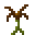 棕色神秘花