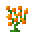 橙色神秘花