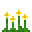 黄色神秘花