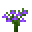 紫色风铃草 (Purple Bellflower)