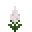 白色鸡冠花 (White Celosia)