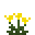 黄色山柳菊