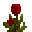 红色花 (Red Flower)
