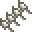 渡渡鸟脊椎骨 (Dodo Vertebrae)