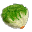 莴苣
