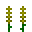 淀粉杂草 (Cornweed)