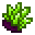 绿色晶簇