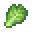 卷心菜叶 (Cabbage Leaf)